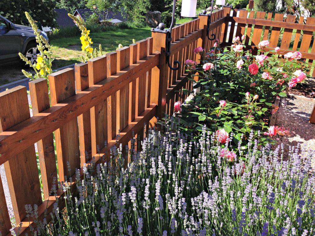 B&B Na Kopecku Rokytnice nad Jizerou Ngoại thất bức ảnh